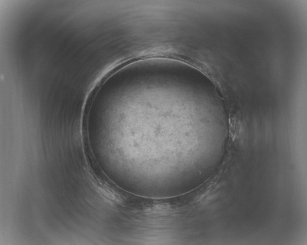 X0000062600196200512281407