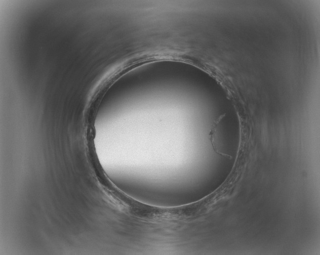 X0000062600197200512281407