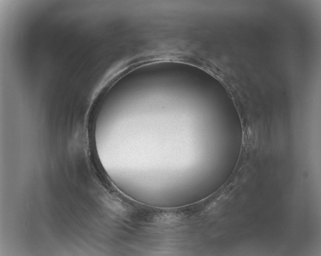 X0000062600198200512281407