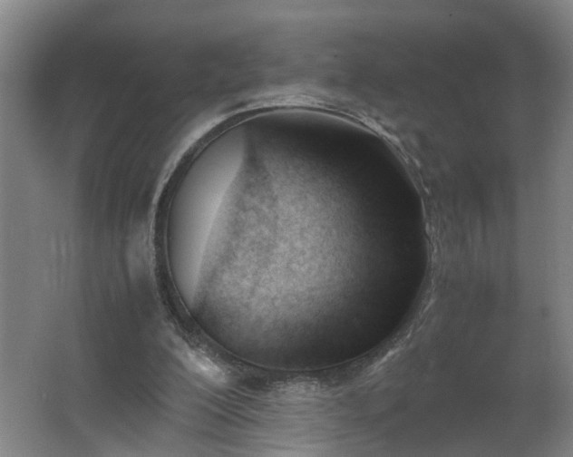 X0000062600200200512281407