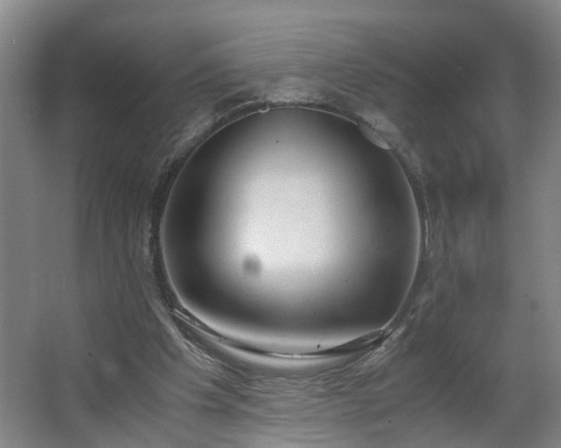 X0000062600201200512281407