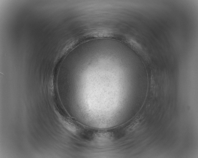 X0000062600202200512281407