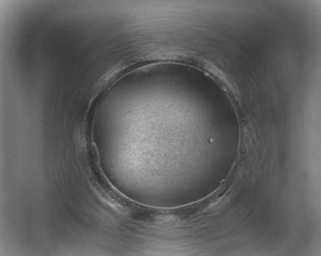 X0000062600203200512281407