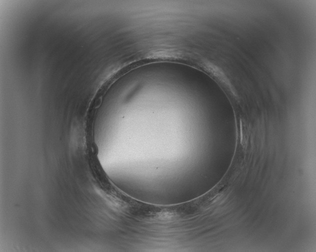 X0000062600204200512281407