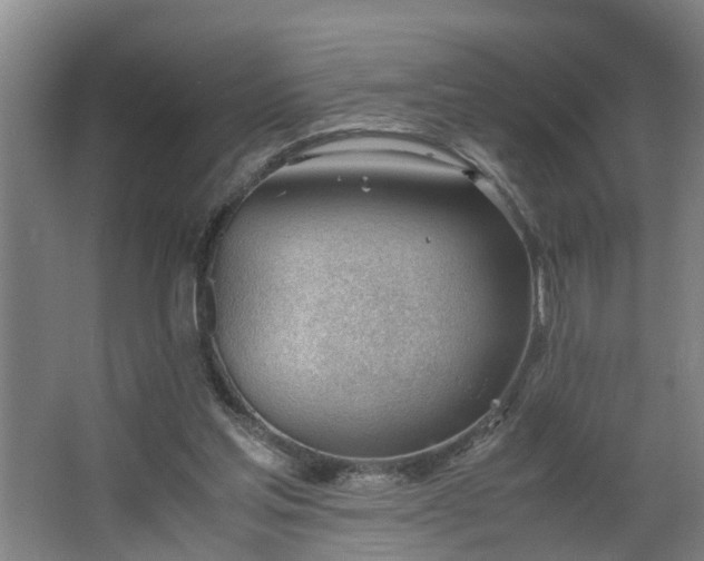 X0000062600205200512281407