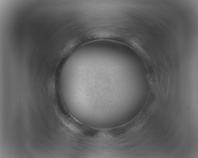 X0000062600207200512281407