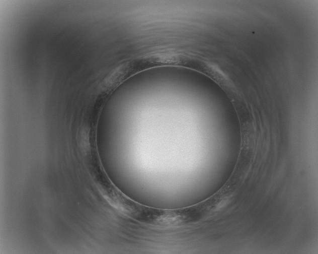 X0000062600213200512281407