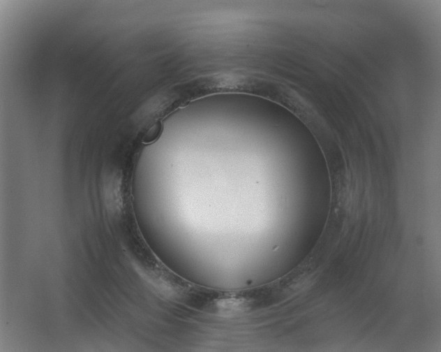 X0000062600216200512281407