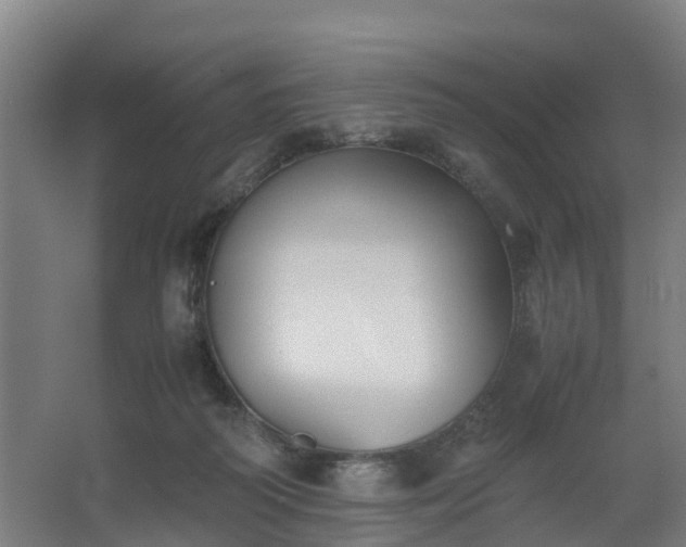 X0000062600218200512281407