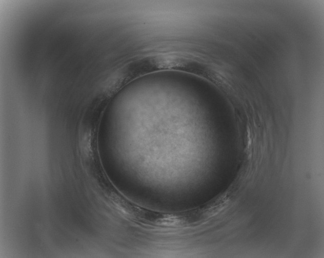 X0000062600219200512281407