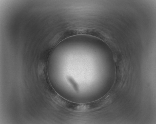 X0000062600225200512281406