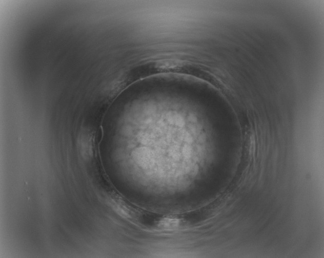 X0000062600227200512281406