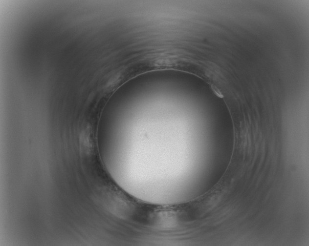 X0000062600228200512281406