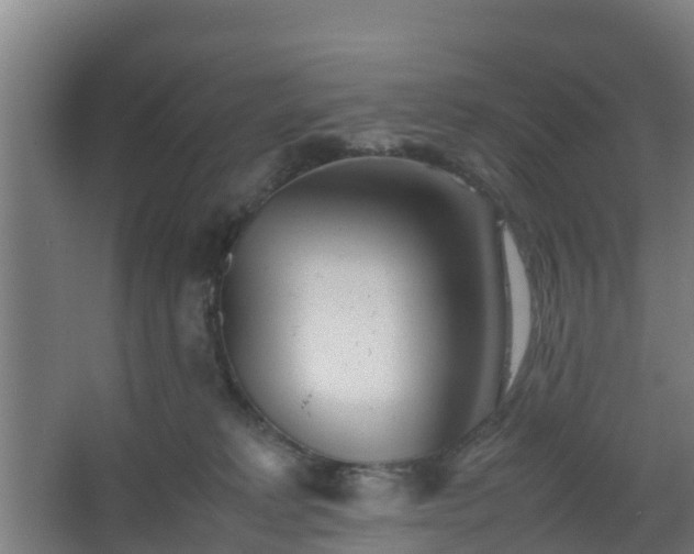 X0000062600229200512281406