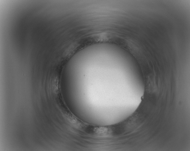 X0000062600230200512281406