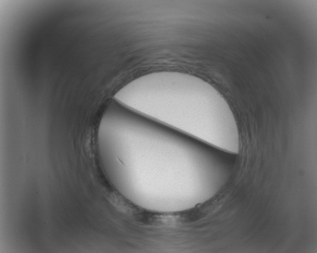 X0000062600233200512281406