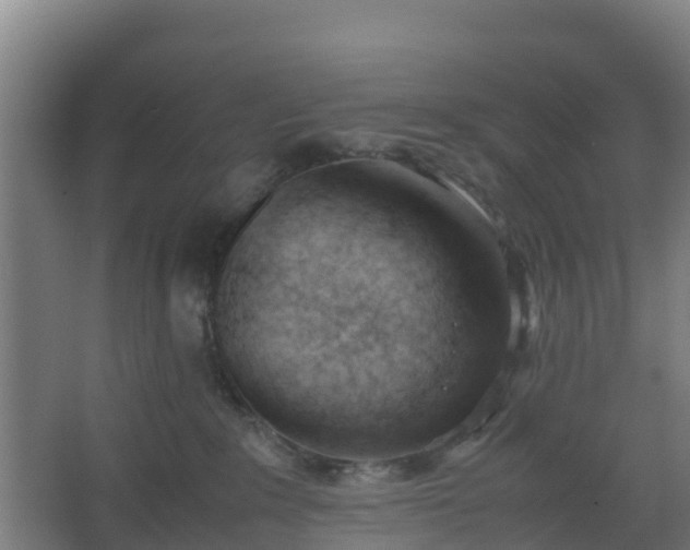 X0000062600235200512281406