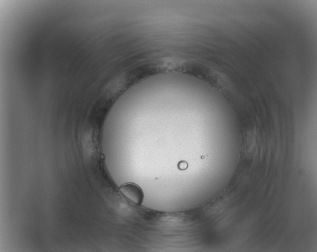 X0000062600236200512281406