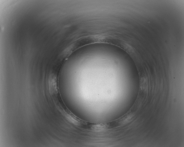 X0000062600238200512281406