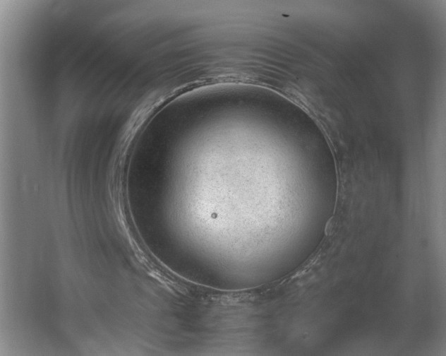 X0000062600241200512281405