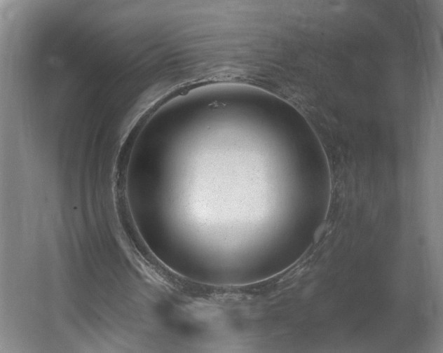 X0000062600242200512281405