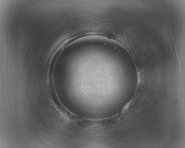 X0000062600243200512281405