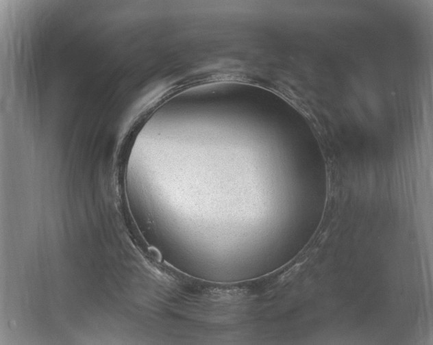 X0000062600245200512281405