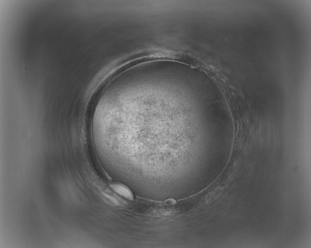 X0000062600247200512281406