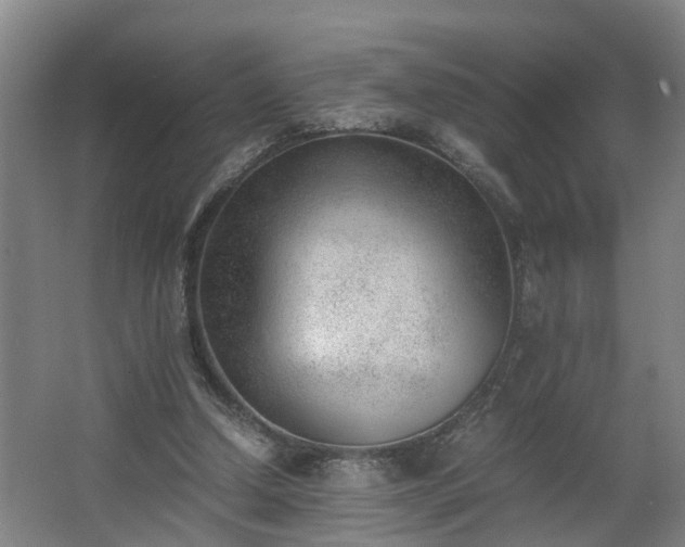 X0000062600250200512281406