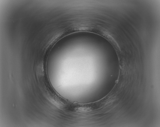 X0000062600251200512281406