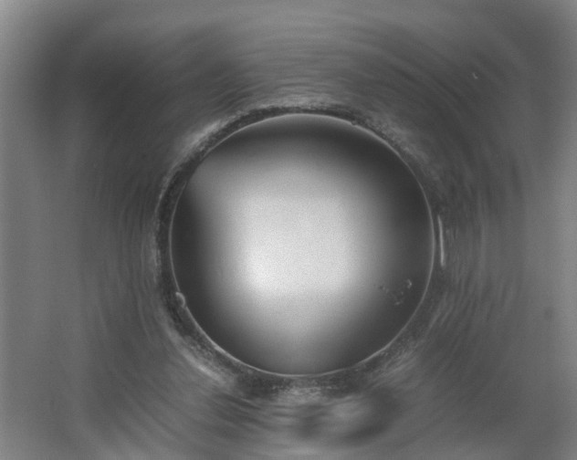 X0000062600252200512281406