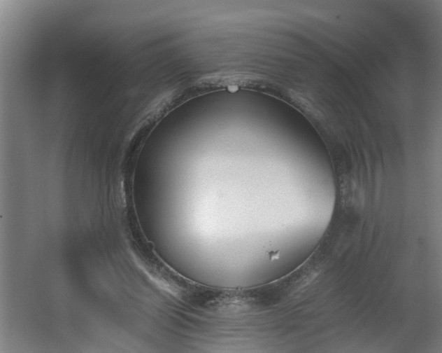 X0000062600254200512281406