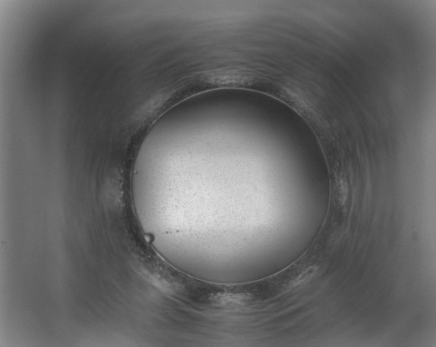 X0000062600255200512281406