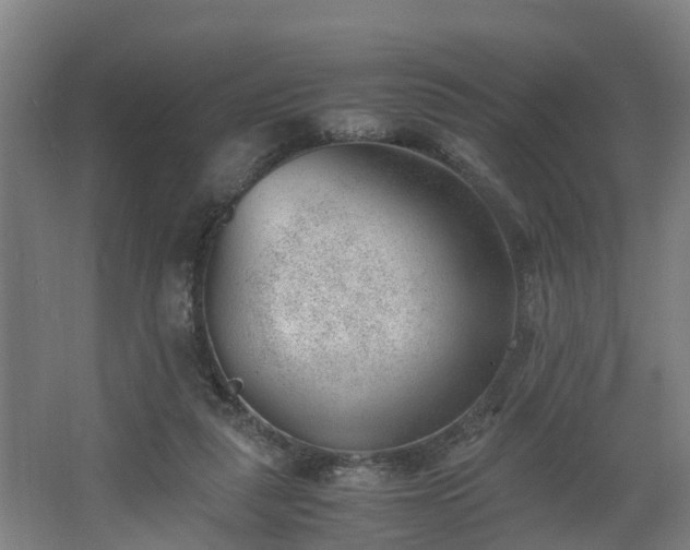 X0000062600259200512281406