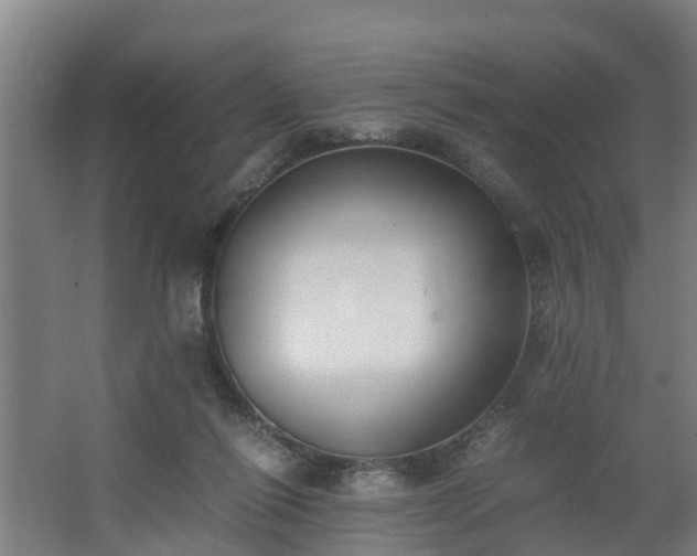 X0000062600262200512281406