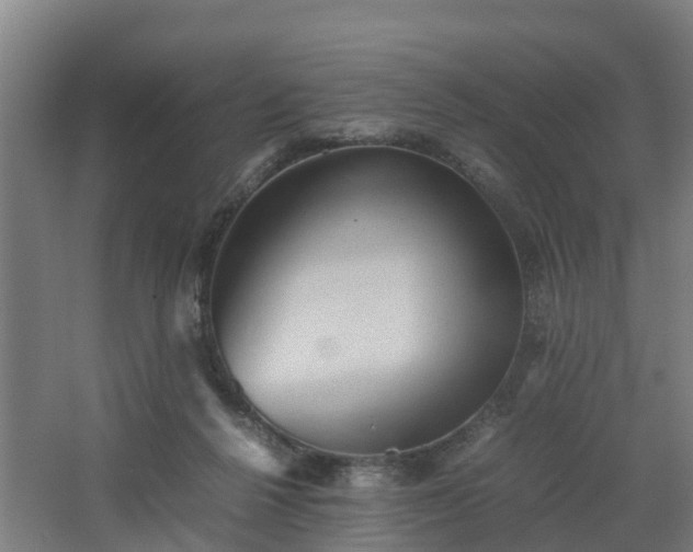 X0000062600264200512281406