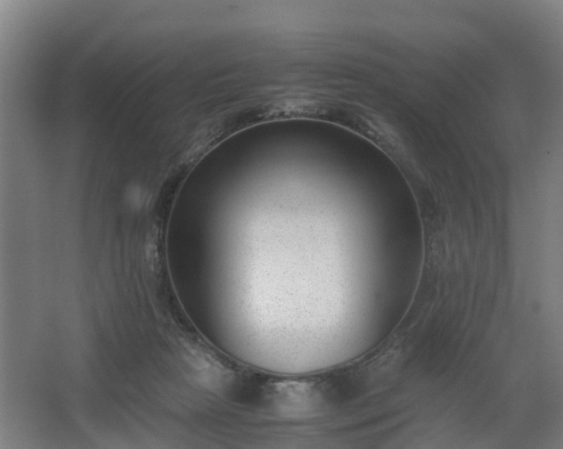 X0000062600265200512281406