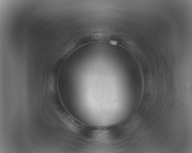 X0000062600266200512281406