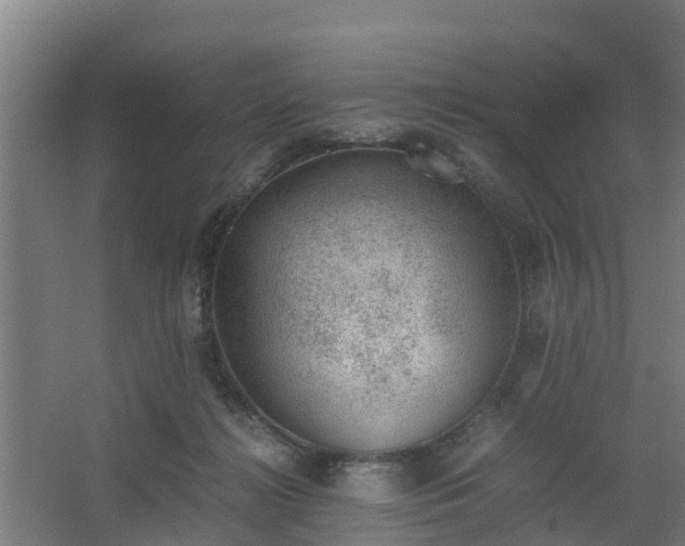 X0000062600268200512281406