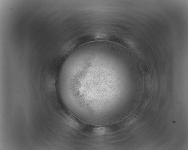 X0000062600269200512281406