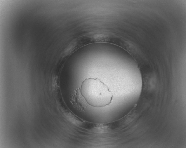 X0000062600278200512281406