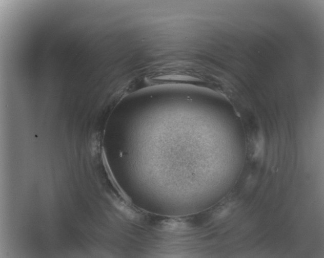 X0000062600284200512281406