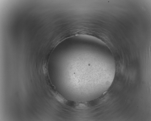 X0000062600285200512281406