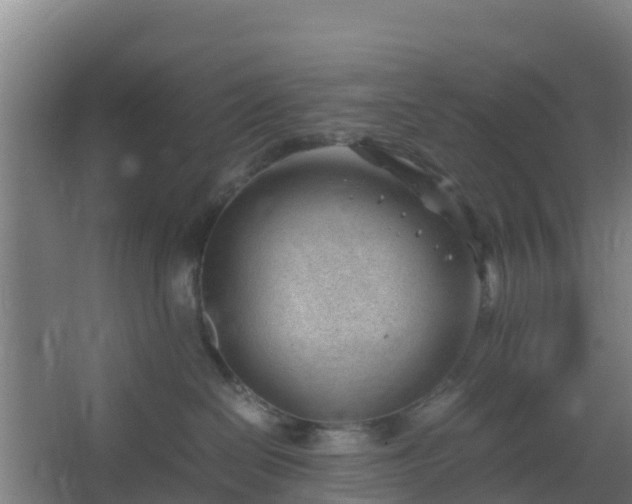 X0000062600286200512281406