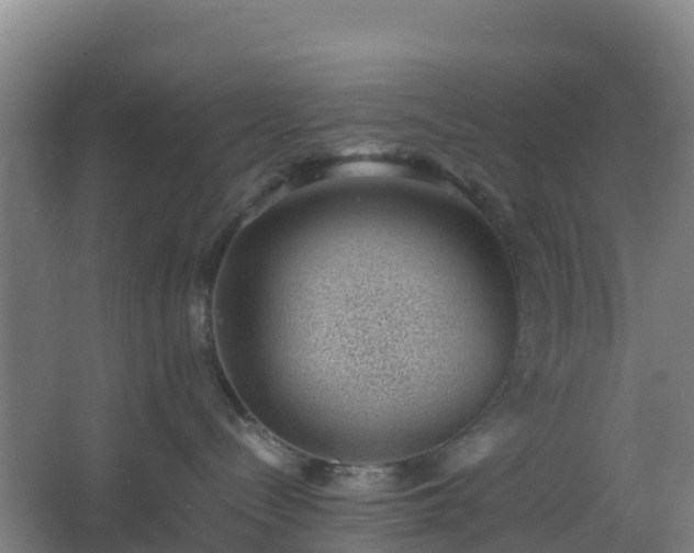 X0000062600288200512281406