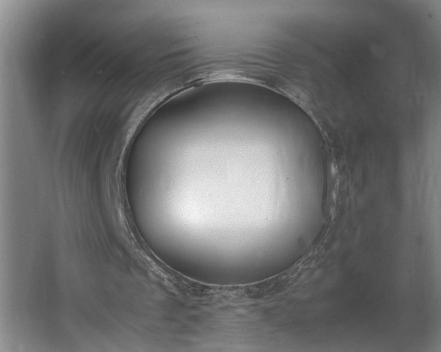 X0000062600289200512281405