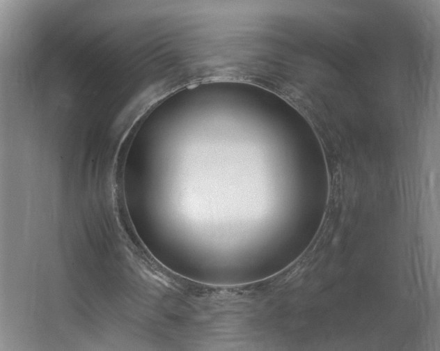 X0000062600290200512281405