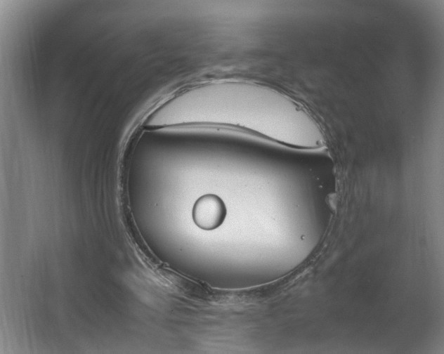 X0000062600293200512281405