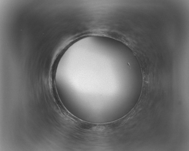 X0000062600294200512281405