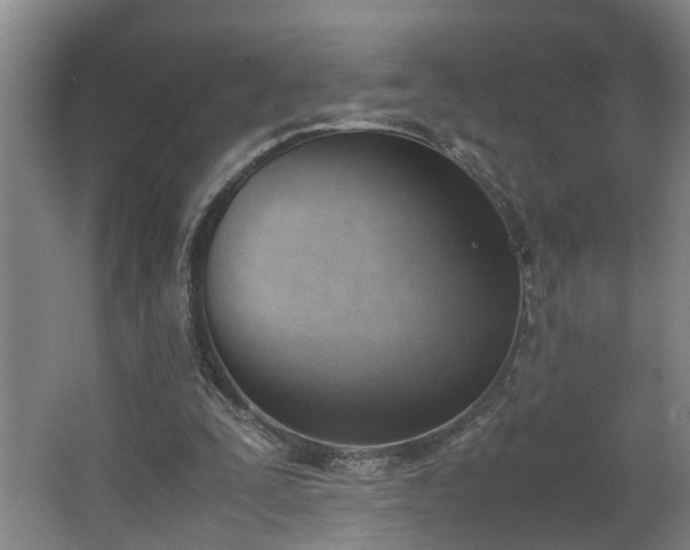 X0000062600295200512281405